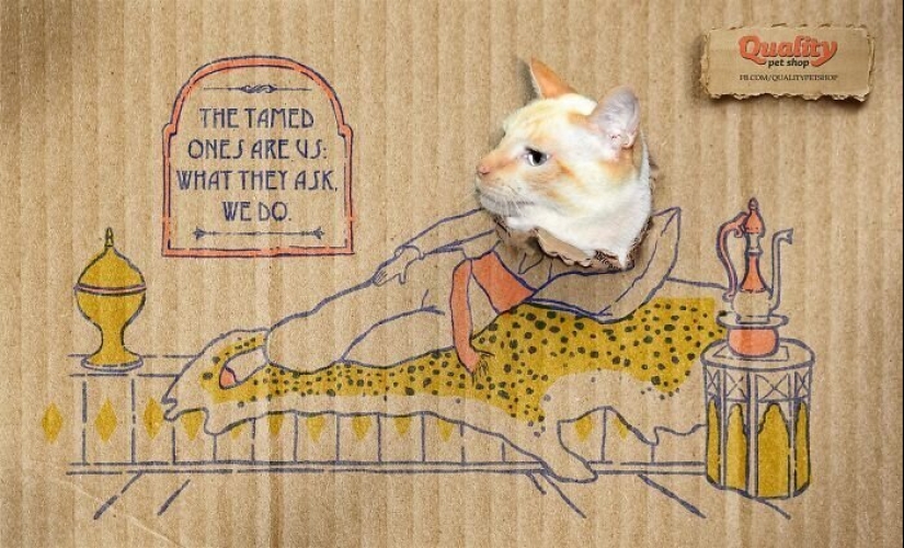 33 examples of the most creative and funny cat ads