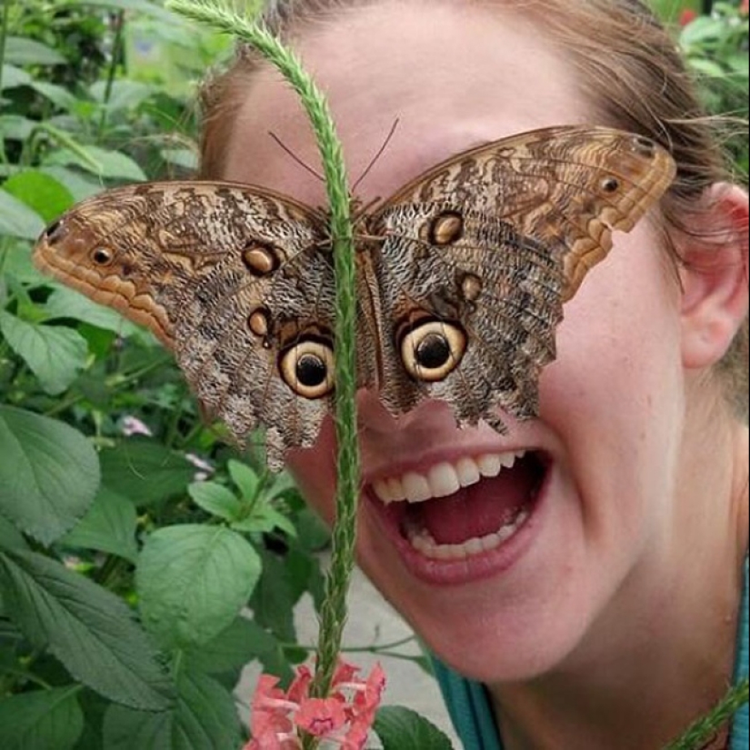 33 fotos donde el momento y el ángulo lo deciden todo 33 fotos donde el momento y el ángulo lo deciden todo