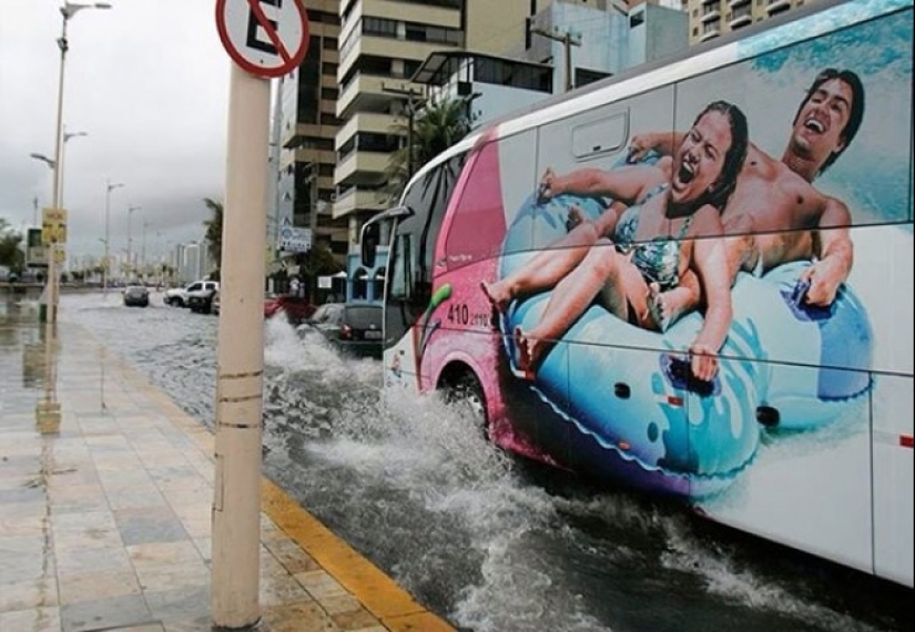 33 fotos donde el momento y el ángulo lo deciden todo 33 fotos donde el momento y el ángulo lo deciden todo