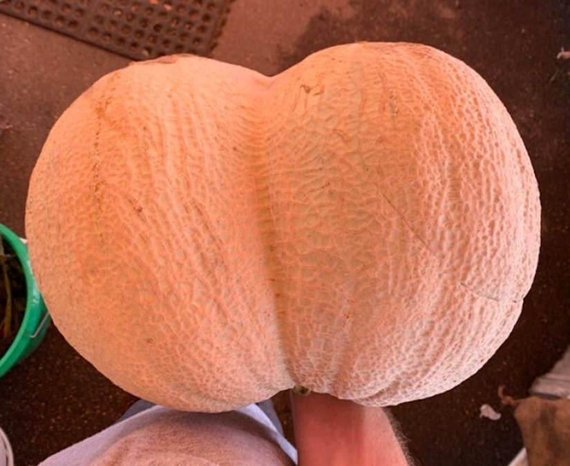 33 historias sobre lo que la vida no nos preparó para 33 historias sobre lo que la vida no nos preparó para