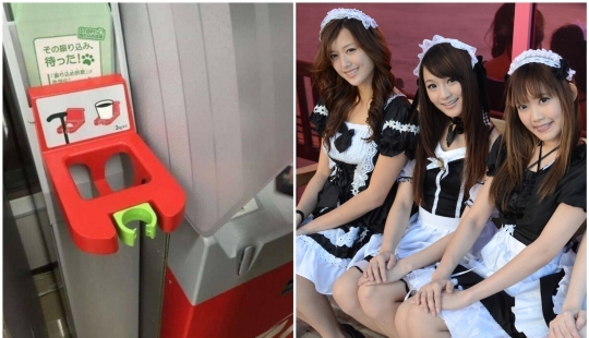 33 interesting facts about Japan that prove that this country is not like others