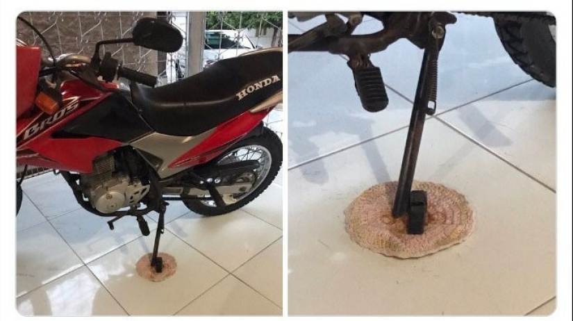 33 photos from Brazil, a wonderful country where there are a lot of monkeys 33 photos from Brazil, a wonderful country where there are a lot of monkeys