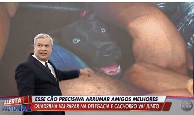 33 photos from Brazil, a wonderful country where there are a lot of monkeys 33 photos from Brazil, a wonderful country where there are a lot of monkeys