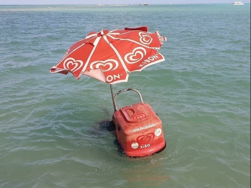 33 photos from Brazil, a wonderful country where there are a lot of monkeys 33 photos from Brazil, a wonderful country where there are a lot of monkeys