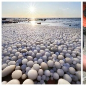 33 rare and amazing things that are worth seeing at least in the photo