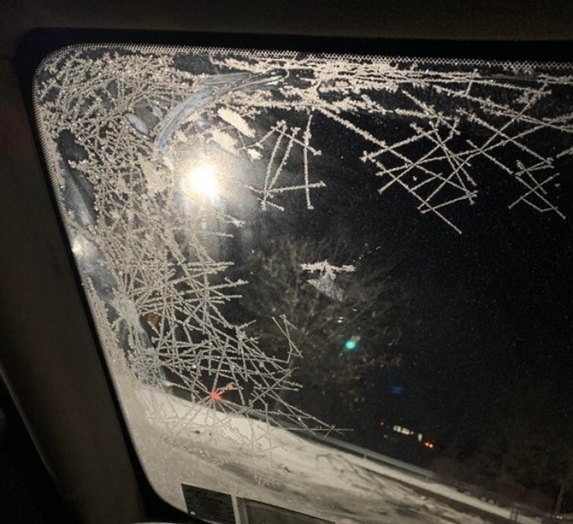 33 stories about what life did not prepare us for