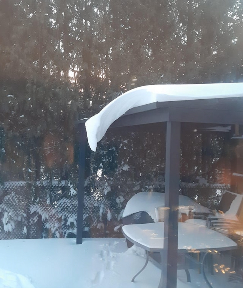 33 stories about what life did not prepare us for