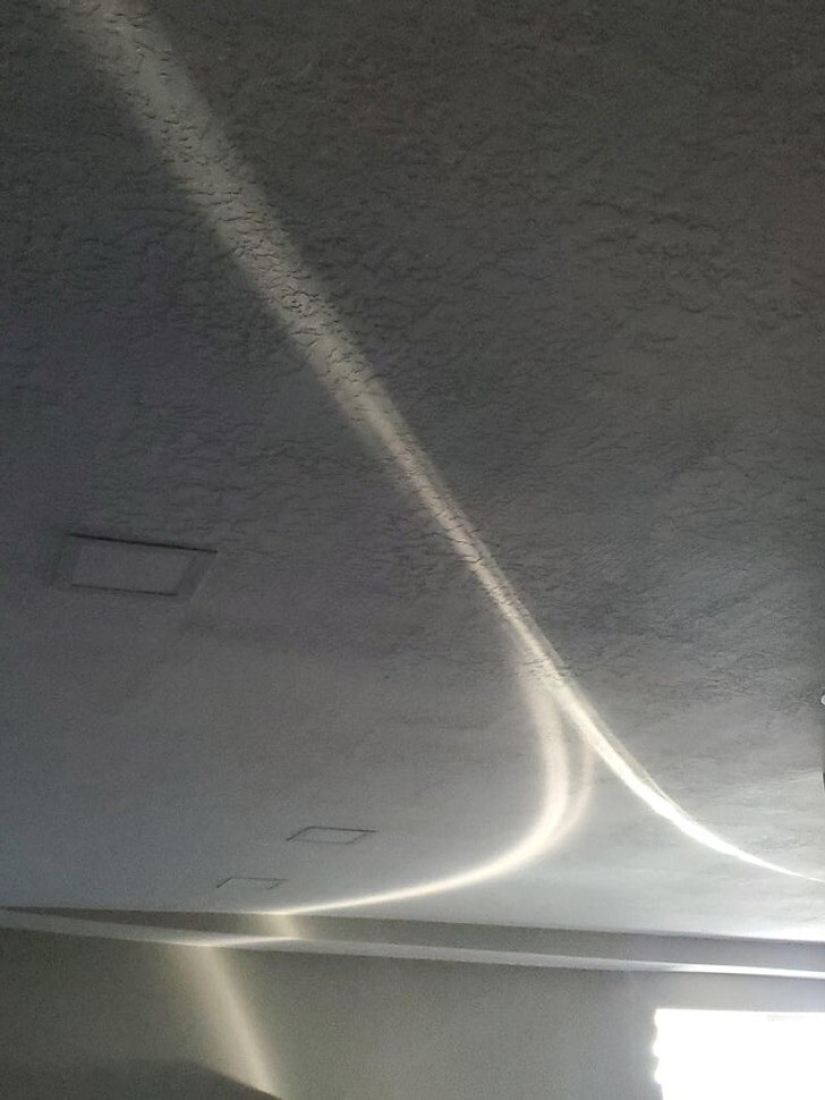 33 stories about what life did not prepare us for