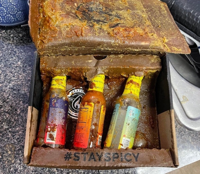 33 stories about what life did not prepare us for