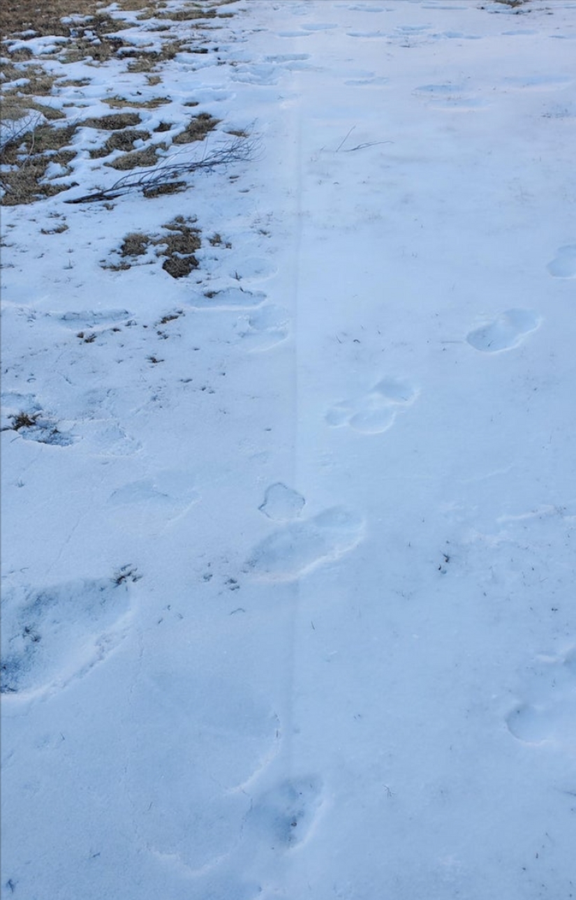 33 stories about what life did not prepare us for