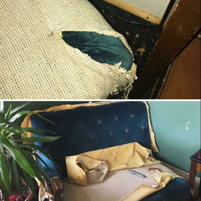 35 amazing finds that people have shared online 35 amazing finds that people have shared online