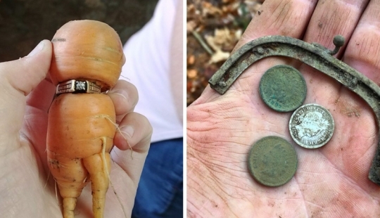 35 amazing finds that people have shared online
