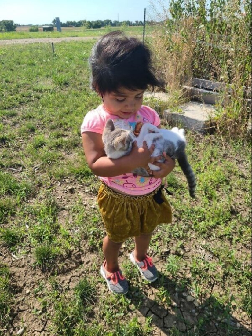 35 animales de refugios que tuvieron mucha suerte de conocer a" su " persona