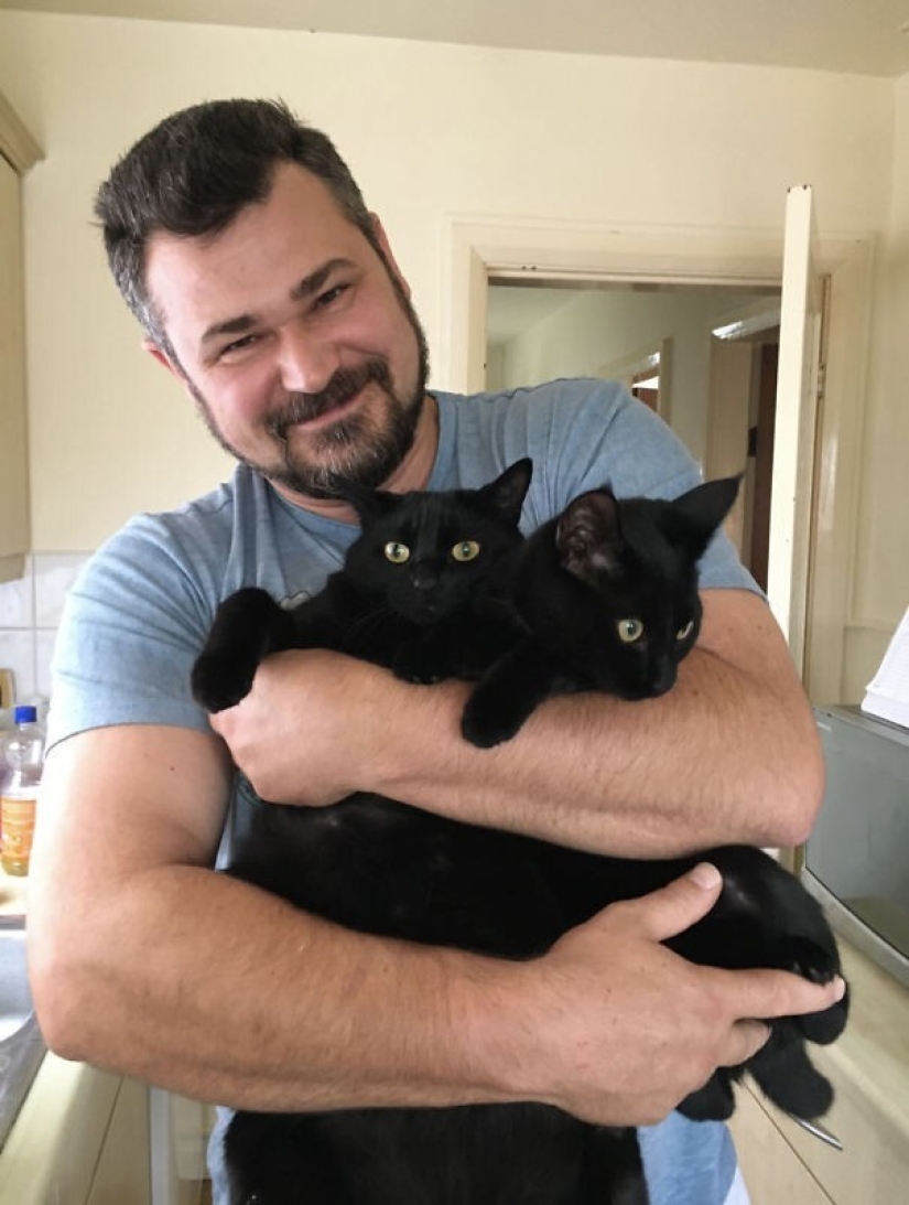 35 animales de refugios que tuvieron mucha suerte de conocer a" su " persona