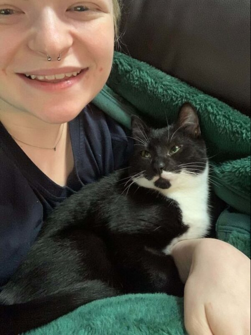 35 animales de refugios que tuvieron mucha suerte de conocer a" su " persona