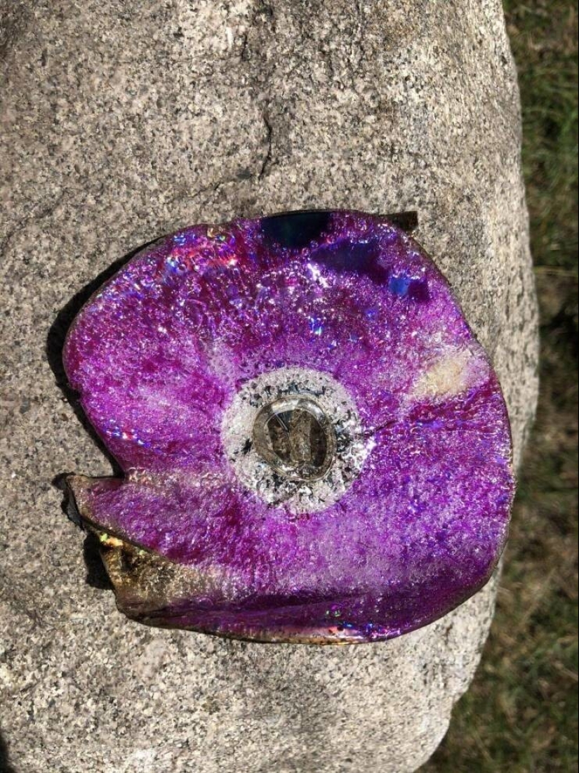 35 cases when people stumbled upon something incredible and amazing 35 cases when people stumbled upon something incredible and amazing