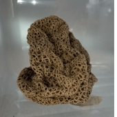 35 cases when people stumbled upon something incredible and amazing