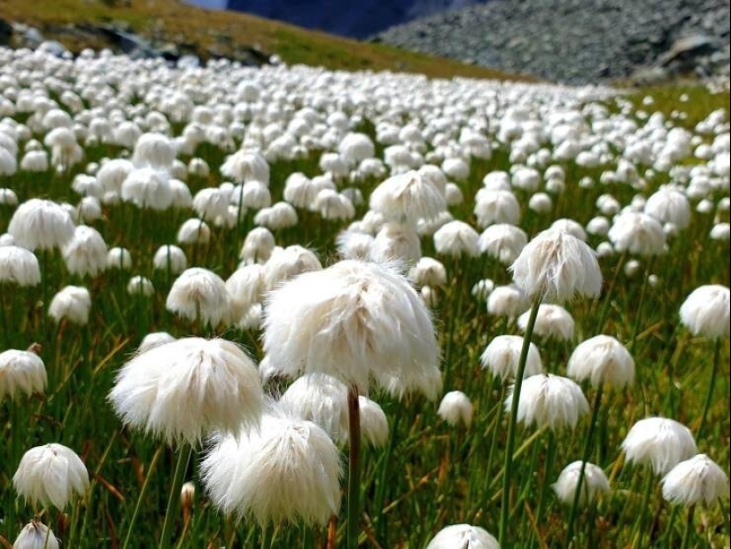 35 cases when people stumbled upon something incredible and amazing 35 cases when people stumbled upon something incredible and amazing