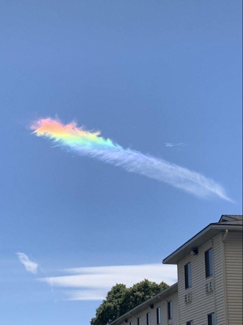 35 cases when people stumbled upon something incredible and amazing 35 cases when people stumbled upon something incredible and amazing