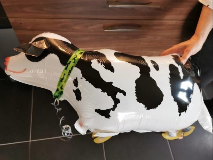 35 cases when people stumbled upon something incredible and amazing 35 cases when people stumbled upon something incredible and amazing