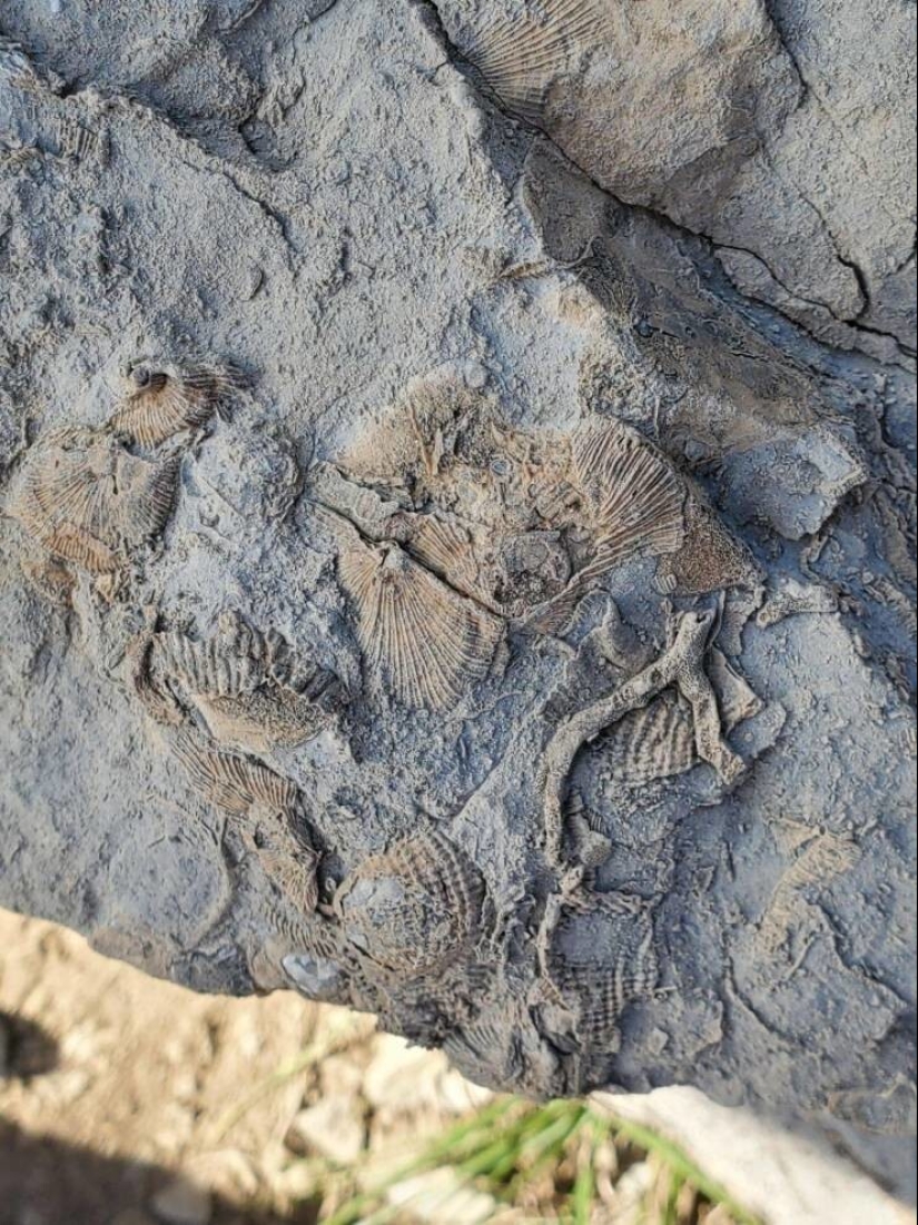 35 cases when people stumbled upon something incredible and amazing 35 cases when people stumbled upon something incredible and amazing