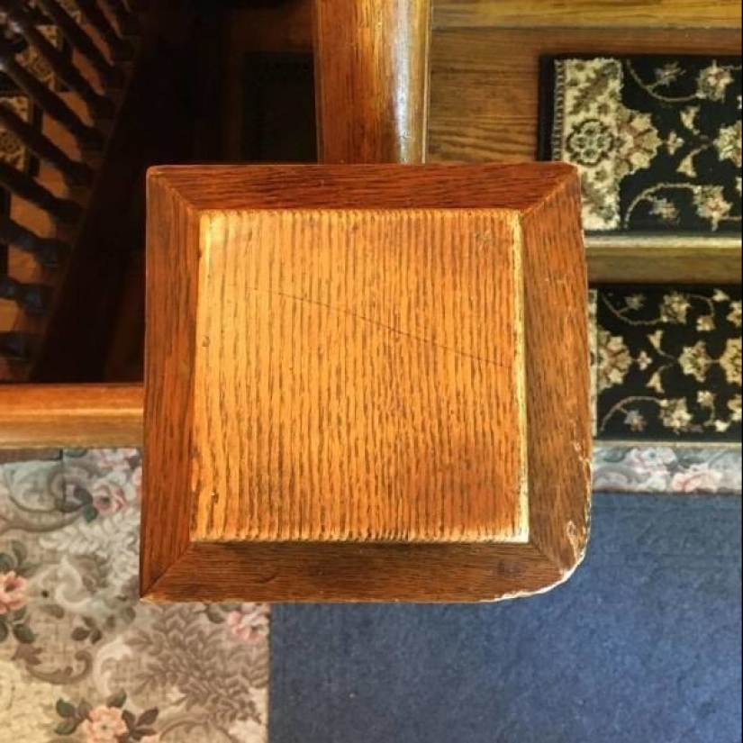 35 casos en los que la gente tropezó con algo increíble y sorprendente