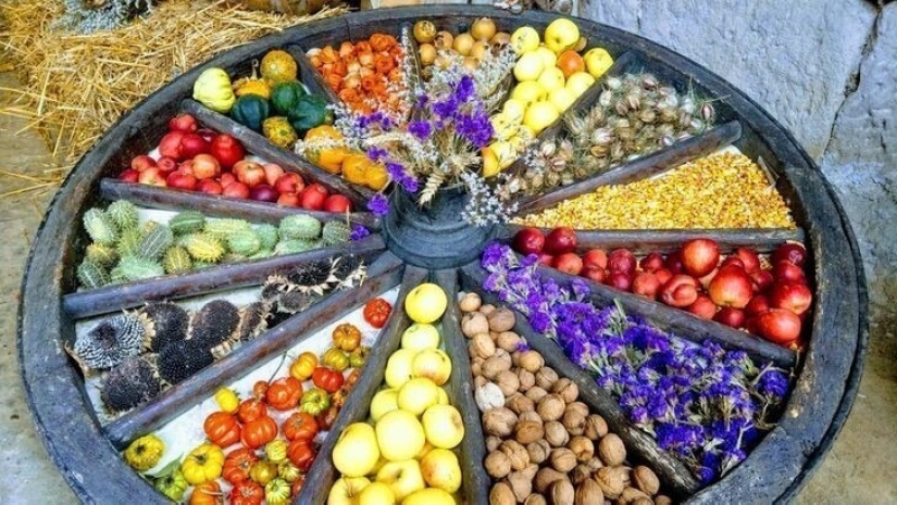 35 cosas extrañas y sorprendentes que la gente quería compartir en línea 35 cosas extrañas y sorprendentes que la gente quería compartir en línea