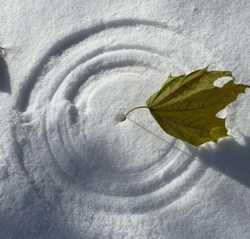 35 cosas extrañas y sorprendentes que la gente quería compartir en línea 35 cosas extrañas y sorprendentes que la gente quería compartir en línea