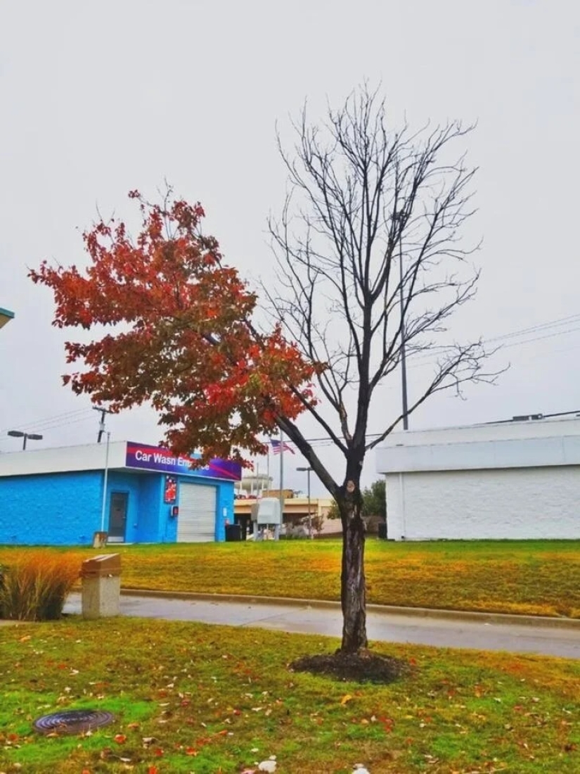 35 cosas extrañas y sorprendentes que la gente quería compartir en línea 35 cosas extrañas y sorprendentes que la gente quería compartir en línea