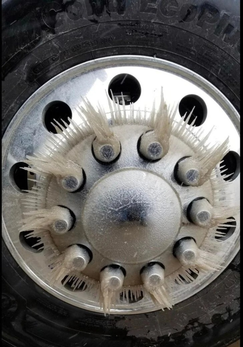 35 cosas extrañas y sorprendentes que la gente quería compartir en línea 35 cosas extrañas y sorprendentes que la gente quería compartir en línea