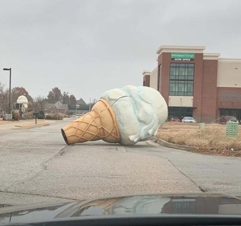 35 cosas extrañas y sorprendentes que la gente quería compartir en línea 35 cosas extrañas y sorprendentes que la gente quería compartir en línea