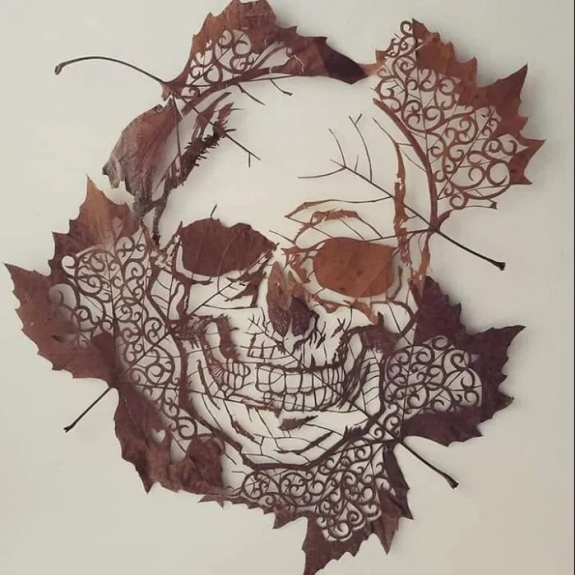 35 creators whose pens can be called crazy without any doubt 35 creators whose pens can be called crazy without any doubt