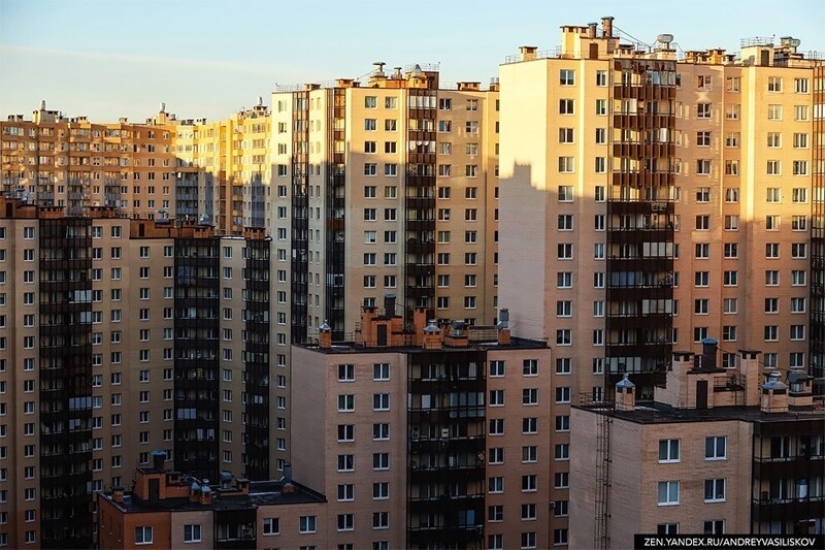 35 entradas, 3708 apartamentos: cómo se ve el gigante man-maker en San Petersburgo