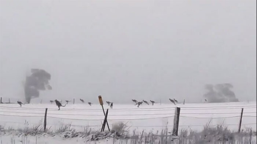 35 fascinantes fotos de la comunidad Reddit " Interesante como la mierda"