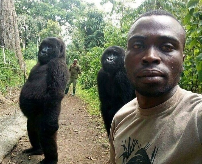 35 fascinating pictures from the Reddit community "Interesting As Fuck" 35 fascinating pictures from the Reddit community "Interesting As Fuck"