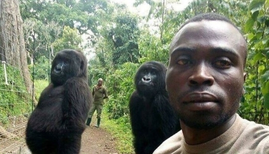 35 fascinating pictures from the Reddit community "Interesting As Fuck"