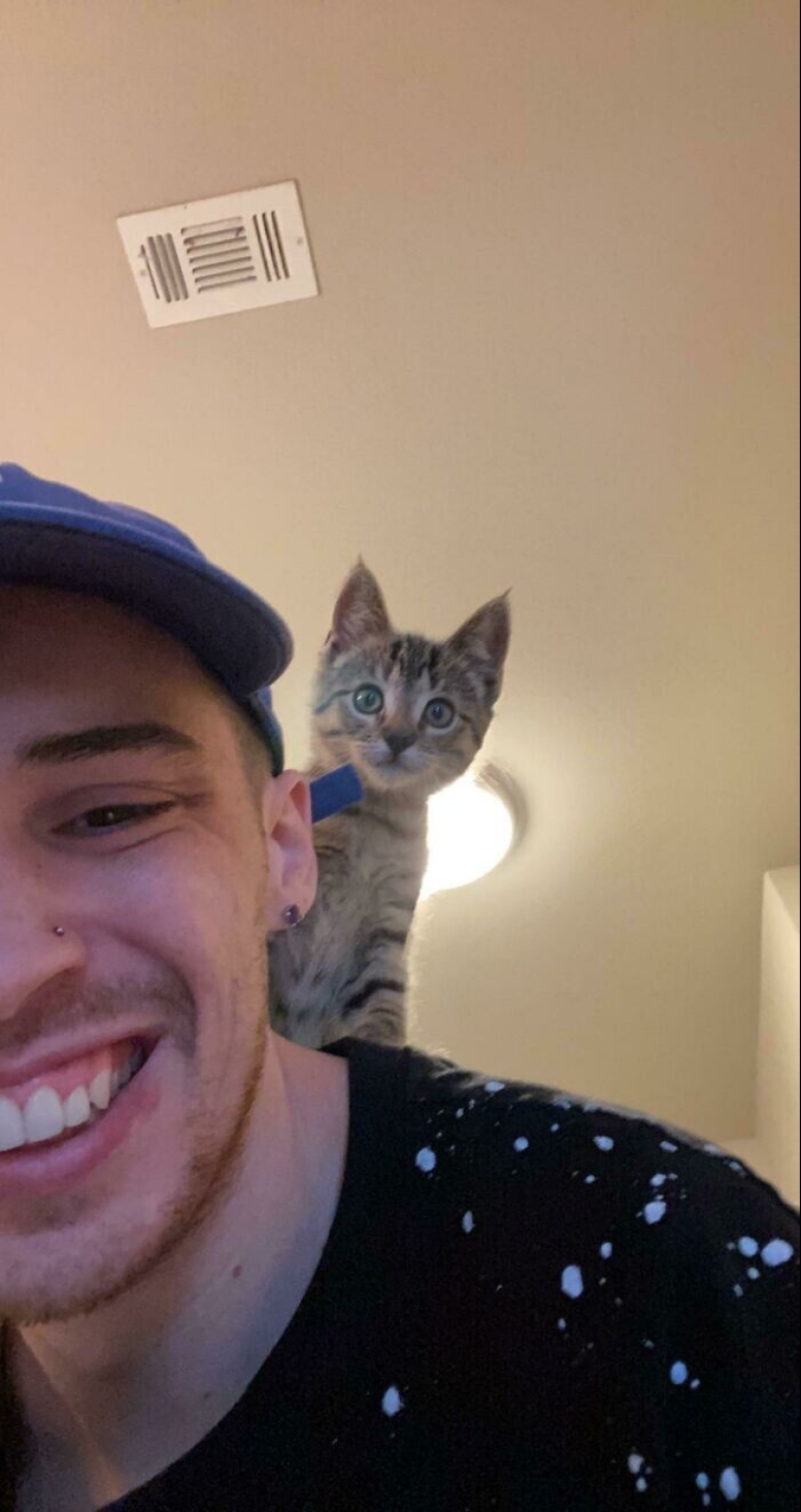 35 fotos conmovedoras de animales a los que se les ha dado una nueva vida 35 fotos conmovedoras de animales a los que se les ha dado una nueva vida