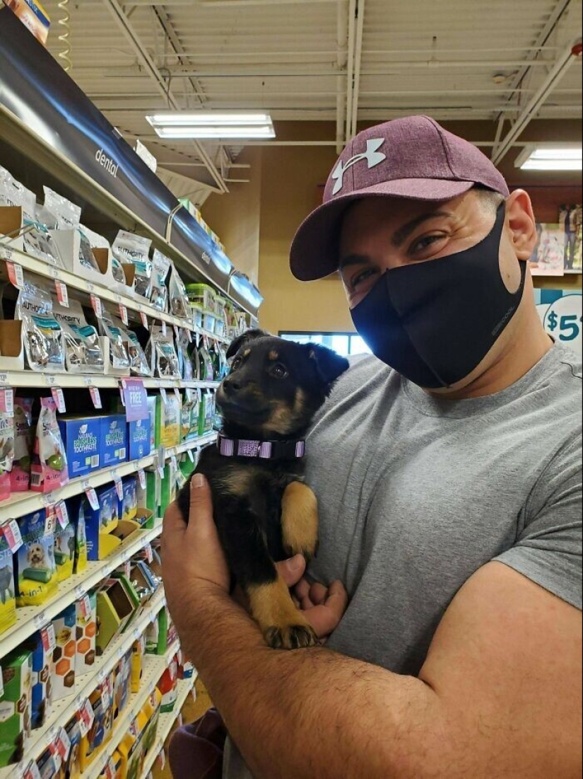 35 fotos conmovedoras de animales a los que se les ha dado una nueva vida 35 fotos conmovedoras de animales a los que se les ha dado una nueva vida