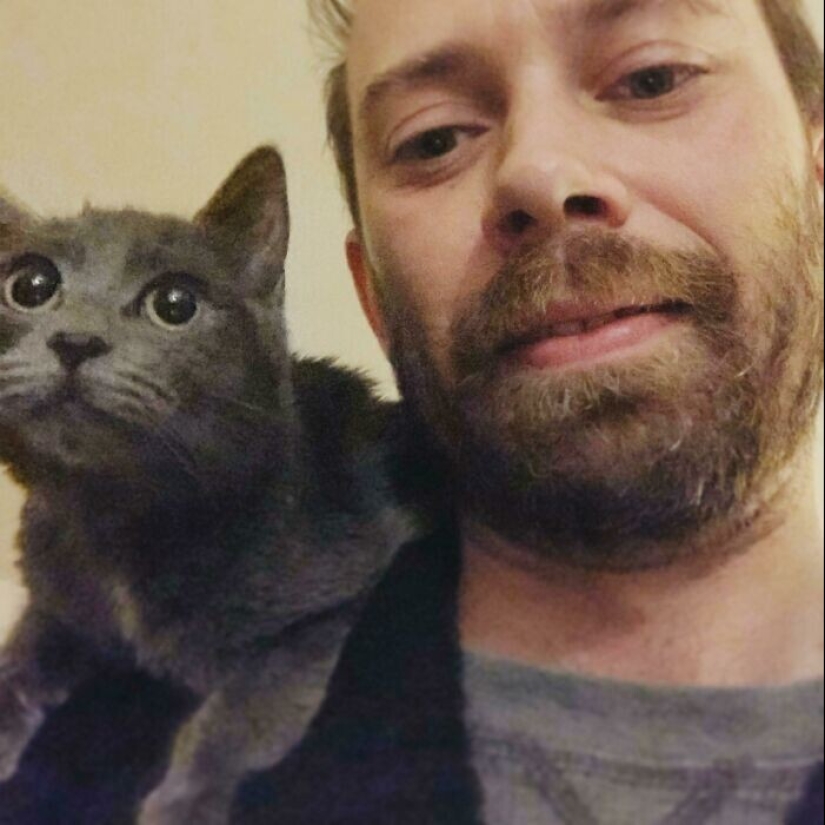 35 fotos conmovedoras de animales a los que se les ha dado una nueva vida 35 fotos conmovedoras de animales a los que se les ha dado una nueva vida