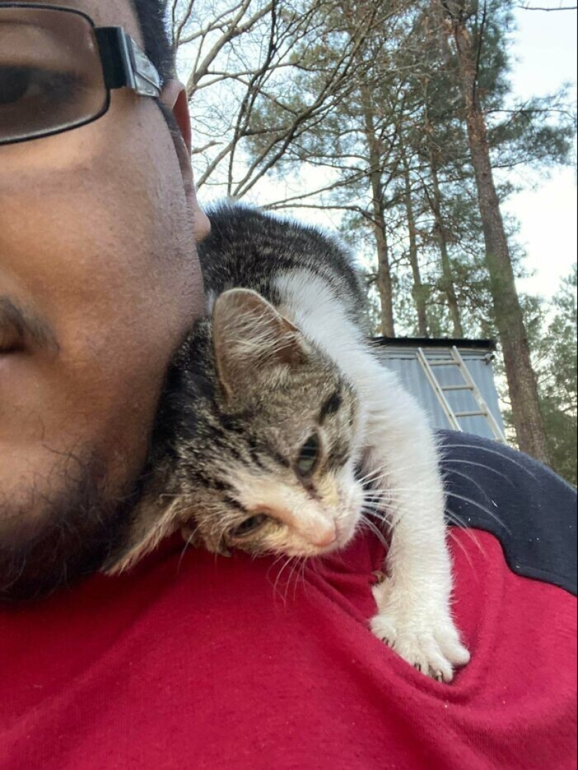 35 fotos conmovedoras de animales a los que se les ha dado una nueva vida 35 fotos conmovedoras de animales a los que se les ha dado una nueva vida