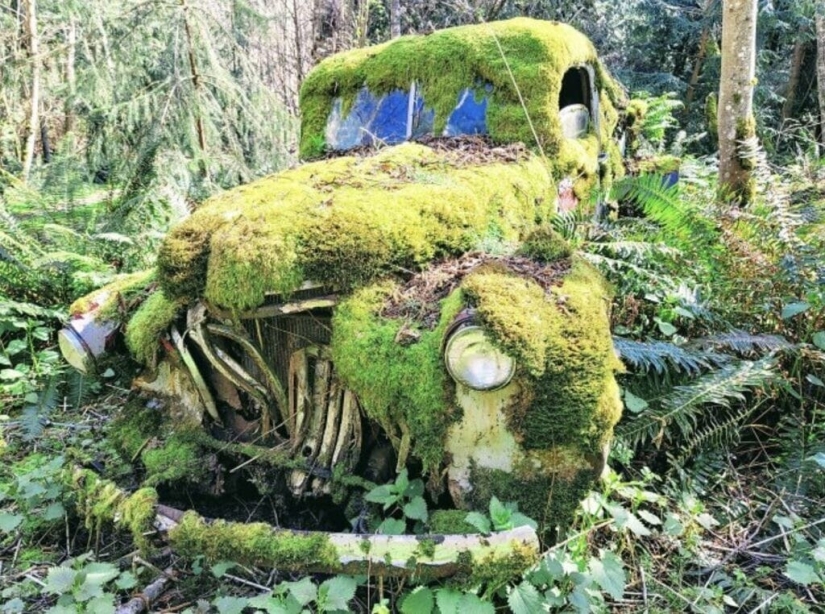 35 fotos impresionantes que muestran la crueldad del tiempo 35 fotos impresionantes que muestran la crueldad del tiempo