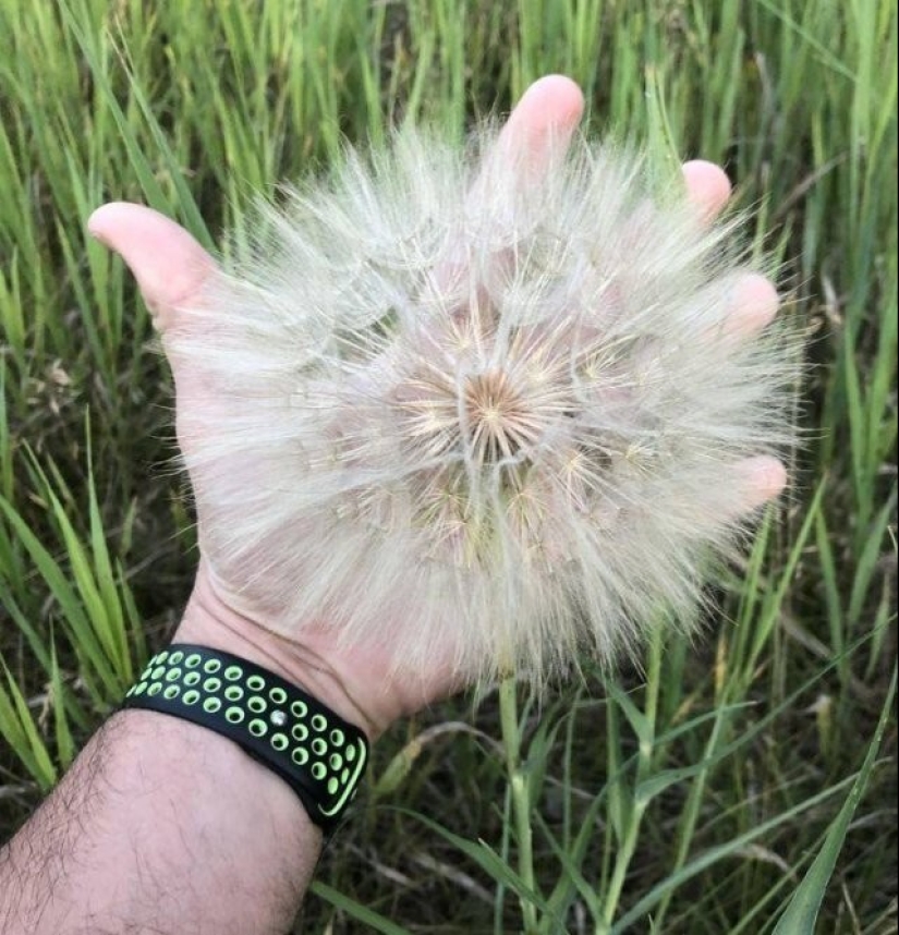 35 fotos inusuales y geniales que te entretendrán y complacerán 35 fotos inusuales y geniales que te entretendrán y complacerán