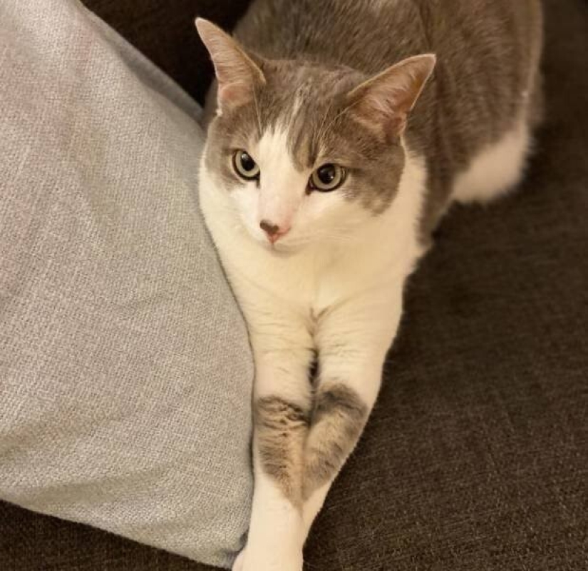 35 fotos inusuales y geniales que te entretendrán y complacerán 35 fotos inusuales y geniales que te entretendrán y complacerán