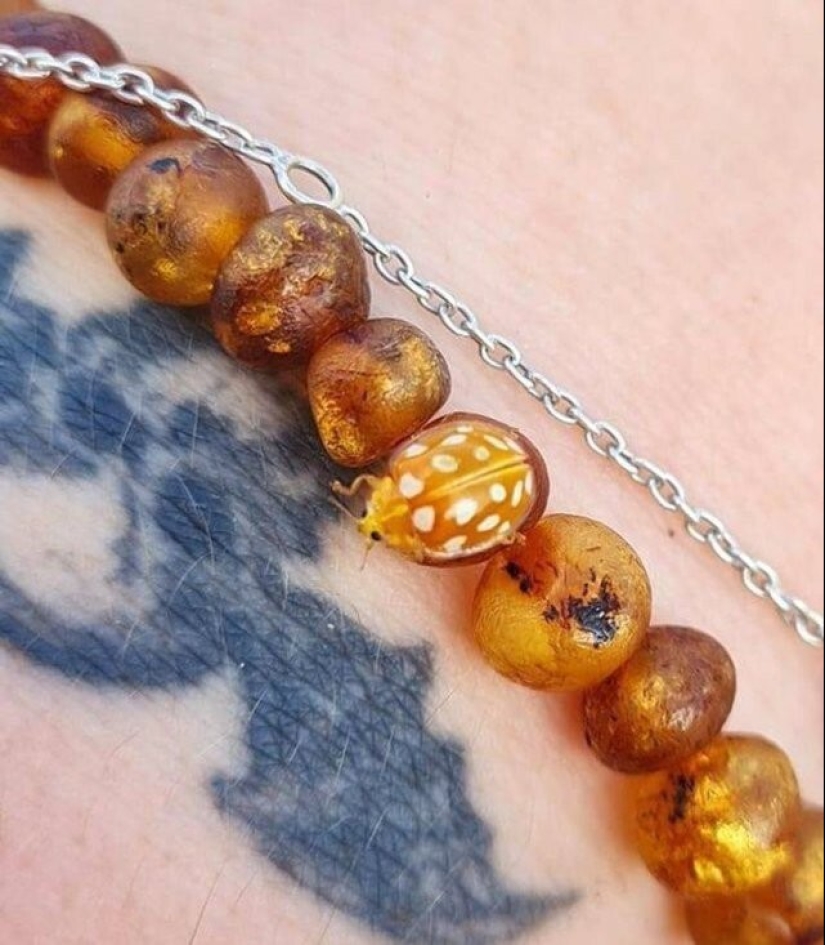 35 fotos inusuales y geniales que te entretendrán y complacerán 35 fotos inusuales y geniales que te entretendrán y complacerán