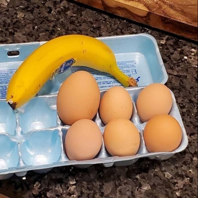 35 fotos inusuales y geniales que te entretendrán y complacerán 35 fotos inusuales y geniales que te entretendrán y complacerán