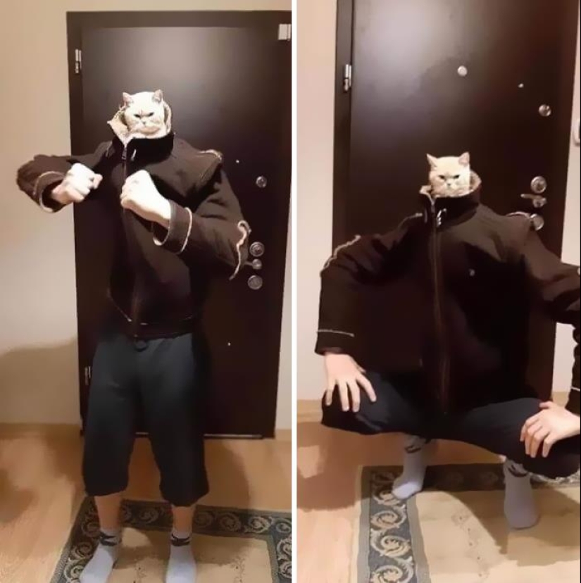 35 funny animal photos. For those who need a cure for negativity