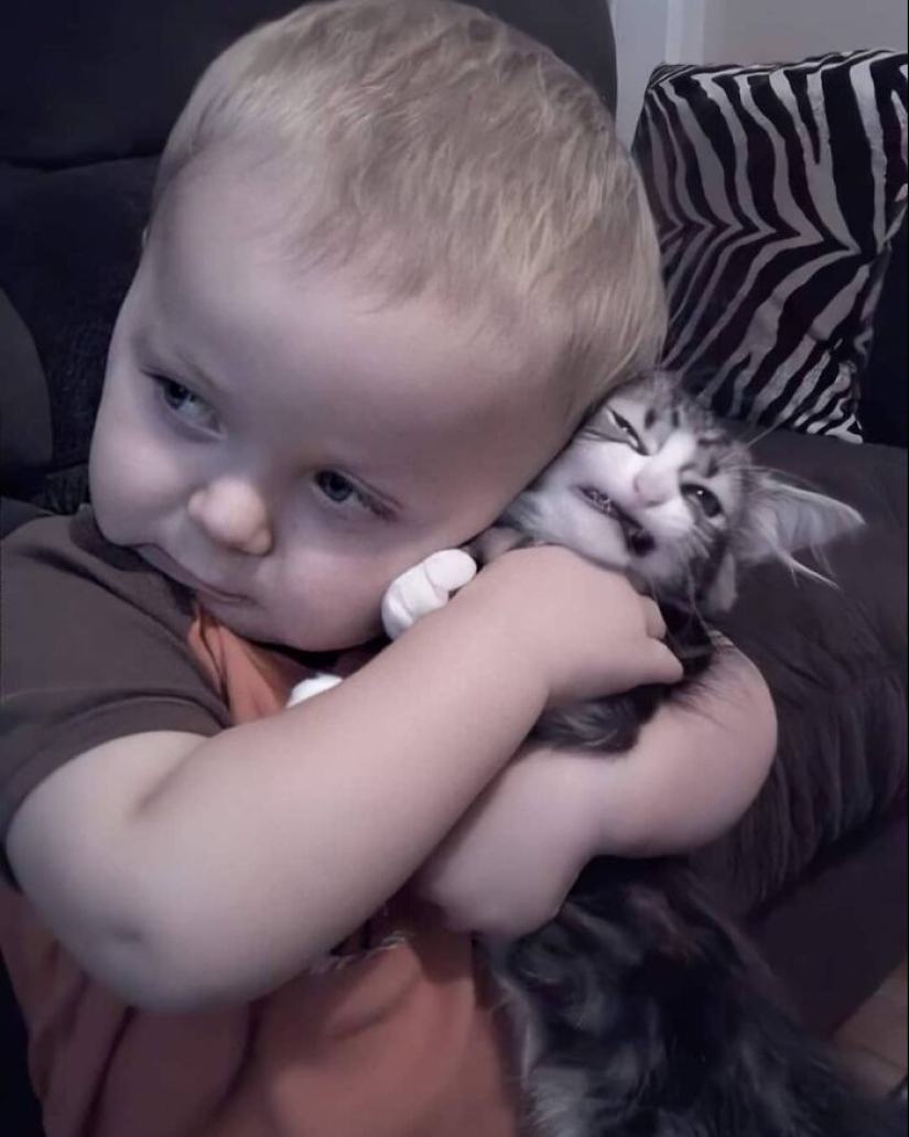 35 funny animal photos. For those who need a cure for negativity