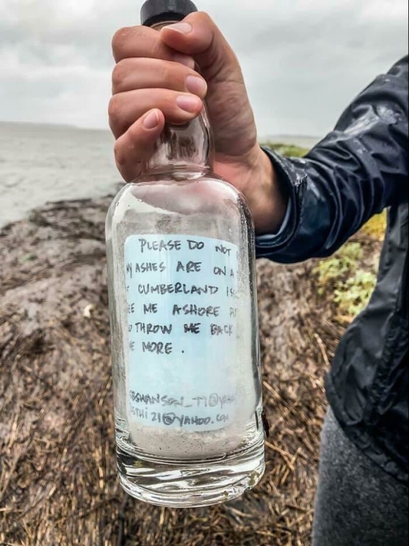 35 hallazgos increíbles que la gente ha compartido en línea 35 hallazgos increíbles que la gente ha compartido en línea