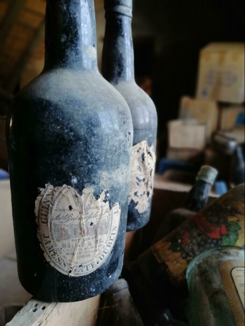 35 hallazgos increíbles que la gente ha compartido en línea 35 hallazgos increíbles que la gente ha compartido en línea