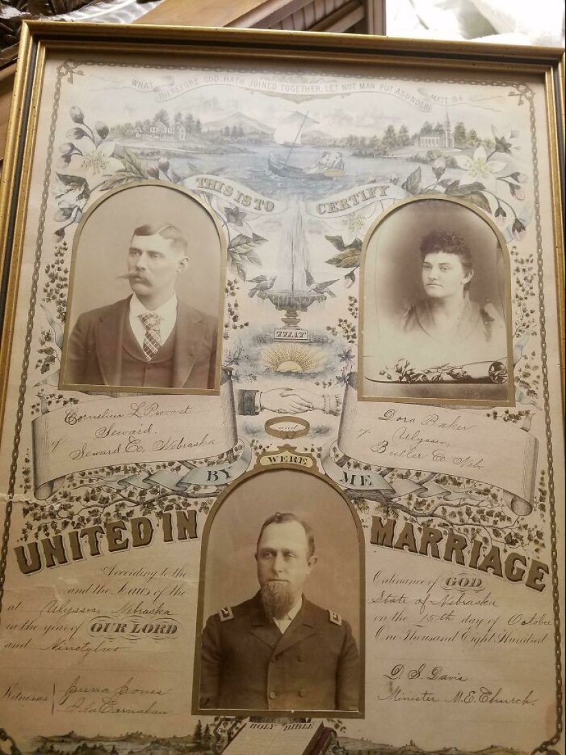 35 hallazgos increíbles que la gente ha compartido en línea 35 hallazgos increíbles que la gente ha compartido en línea